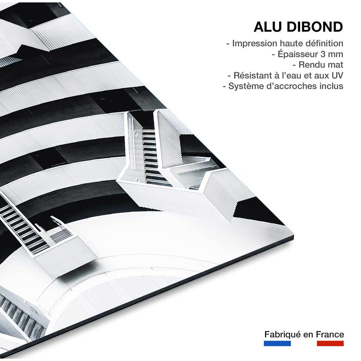 Tableau architecture escalier suspendu  Tableau alu Dibond