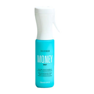 COLOR WOW Money Mist Leave In Conditioner 150ml