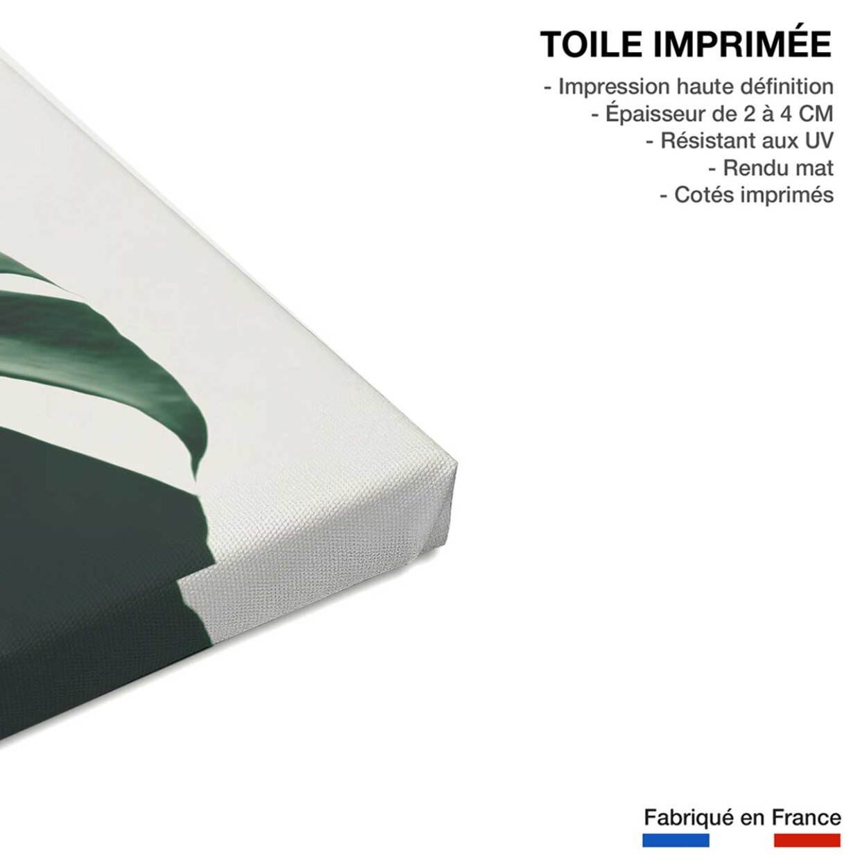 Tableau monstera due Toile imprimée