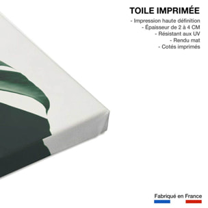 Tableau monstera due Toile imprimée