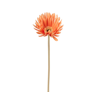 J-Line fleur Gerbera Virgin - plastique - orange - 12 pcs