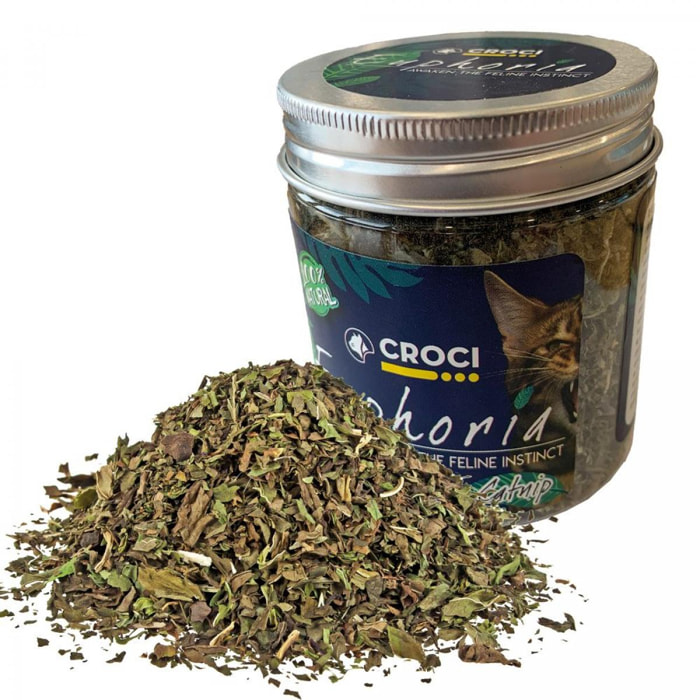 Euphoria Barattolo Catnip