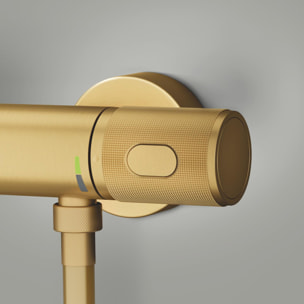 Mitigeur thermostatique Douche - Cool Sunrise brossé