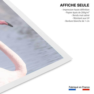 Affiche pastel pink flamingo Affiche seule