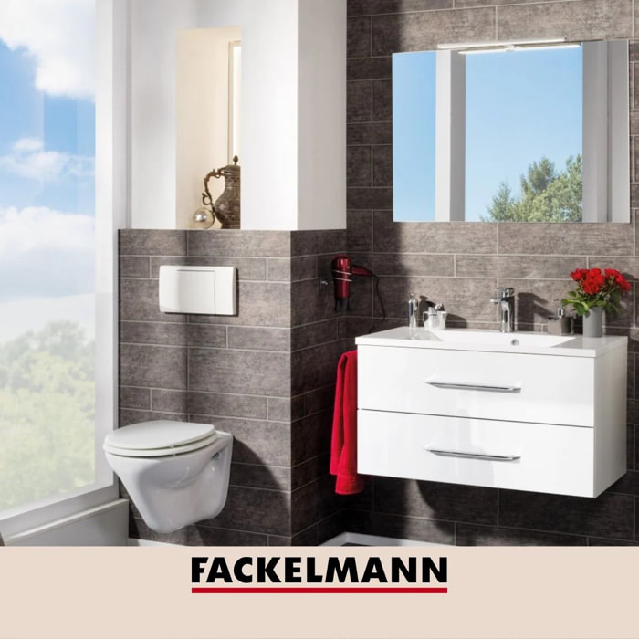 Support papier toilette mural droit gris chromé Fackelmann Mare