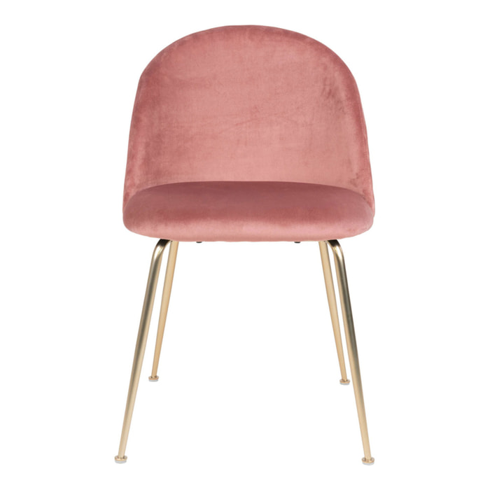 Set 2 sedie da pranzo Geneve in velluto rosa con gambe effetto ottone