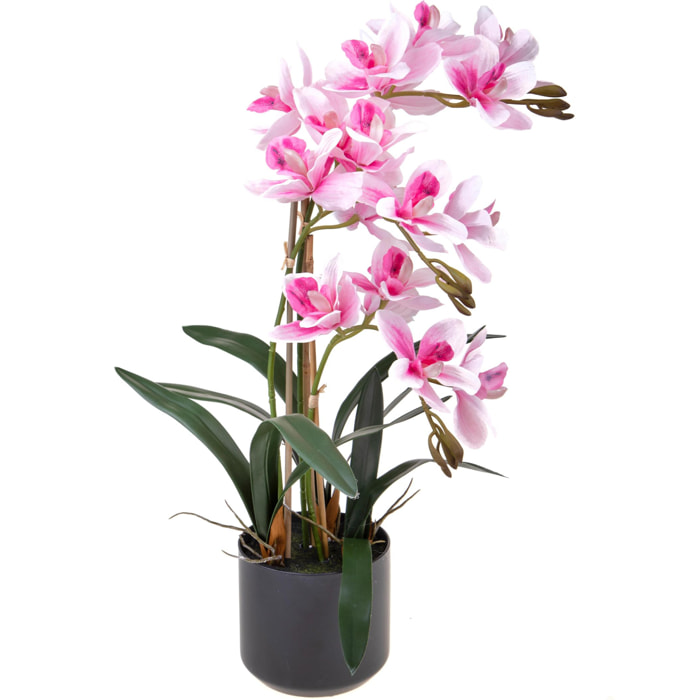 Orchidea Cymbidium Con 3 Diramzioni In Vaso. Altezza 56 Cm - Pezzi 1 - 34X56X34cm - Colore: Rosa - Bianchi Dino - Piante Artificiali