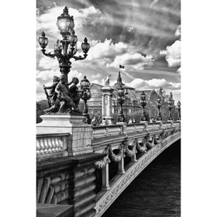 Tableau Paris vue du pont Alexandre III Toile imprimée