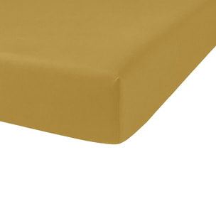 Drap Housse Coton 57fils Uni - Bonnet 35cm Gold