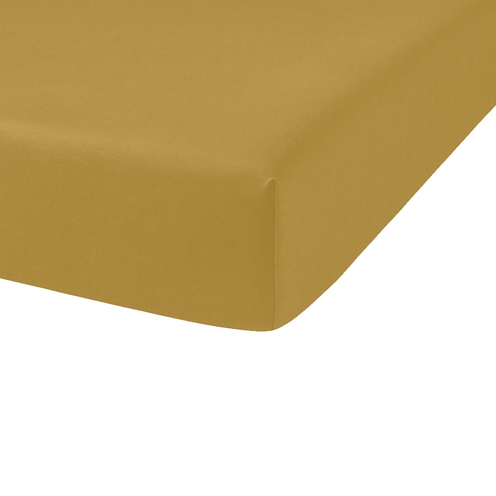 Drap Housse Coton 57fils Uni - Bonnet 35cm Gold