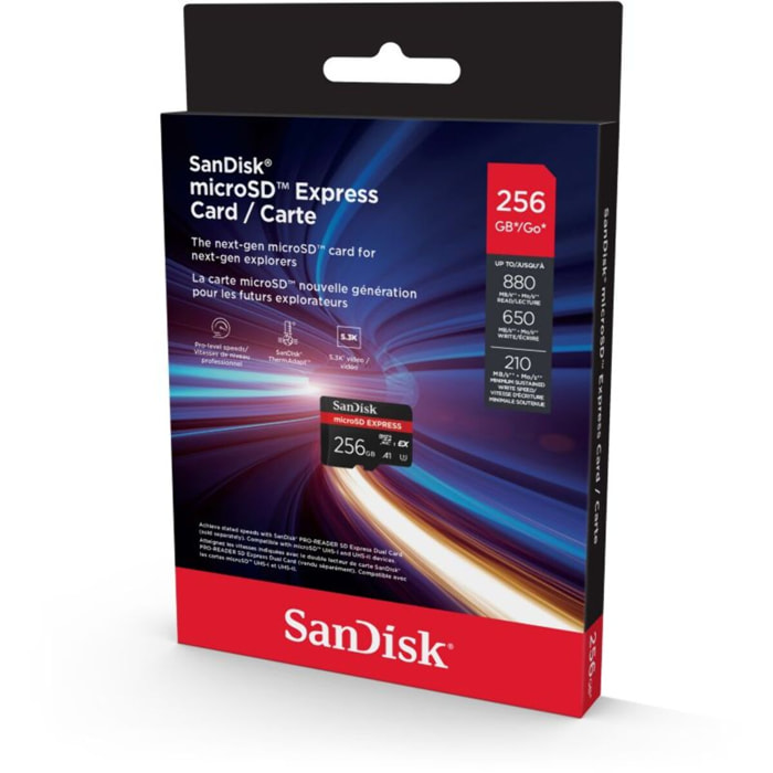 Carte Micro SD SANDISK 256Go Express