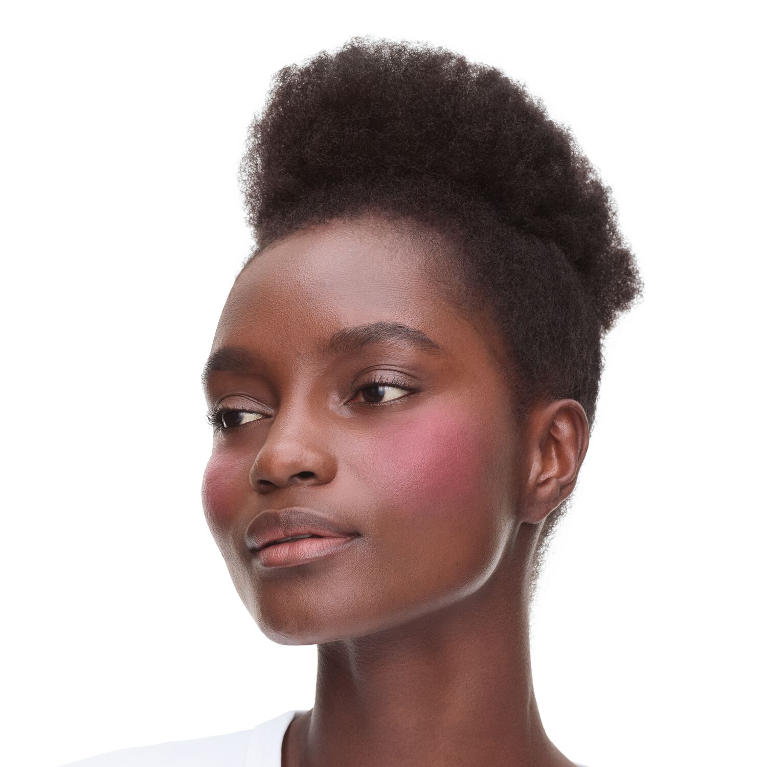 Blush Boite Ronde - Blush 2-en-1 Joues et Lèvres