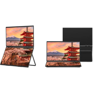 Ecran pc portable JAPANNEXT JN-DMD-IPS238F-C4 23" Double écran Full HD 100Hz IPS USB-C AMD FreeSync support intégré