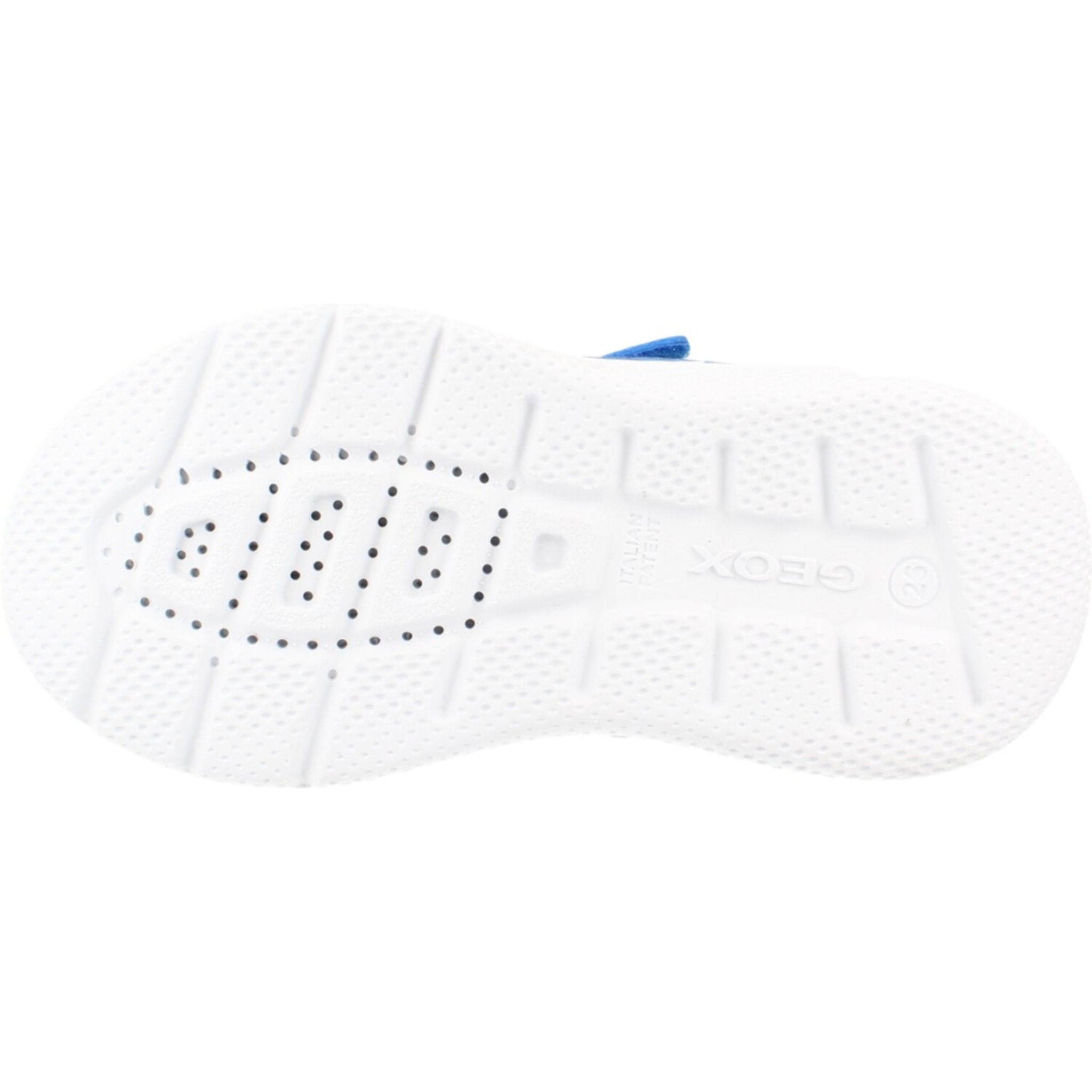 Zapatillas Niño de la marca GEOX  modelo B664UA 0119J B SPRINTYE AZUL
