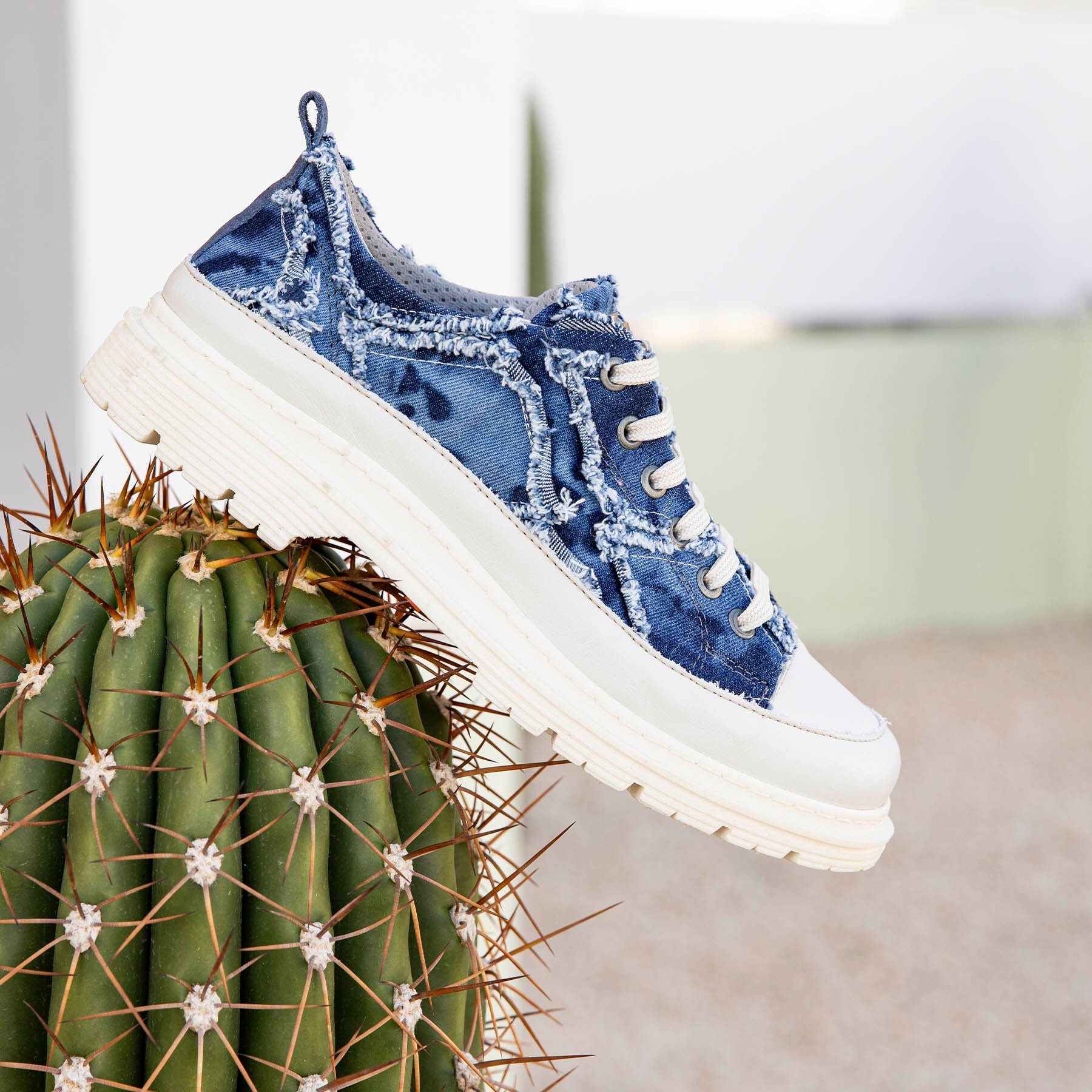 Zapatos 1894T JEANS DENIM /BIRMINGHAM color Denim