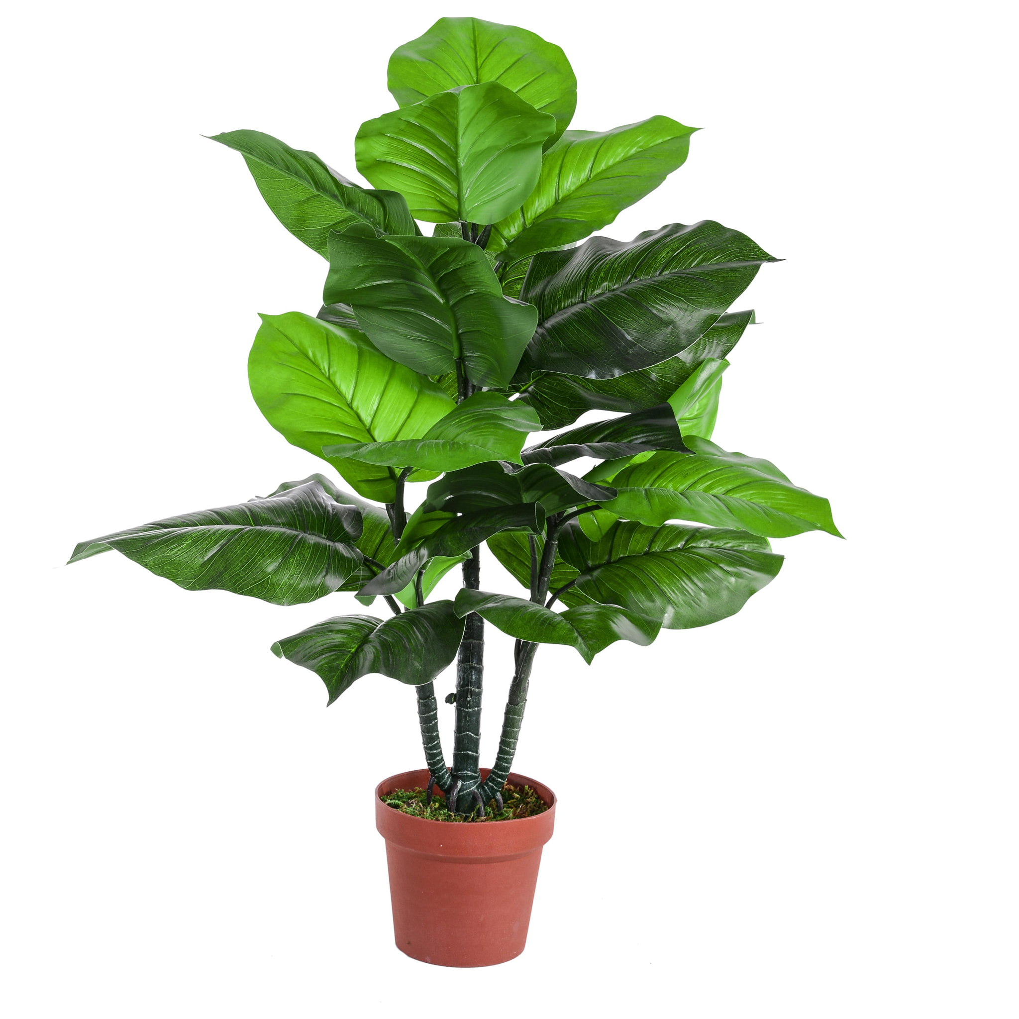 Pothos In Vaso Con 22 Foglie. Altezza 75 Cm - Pezzi 1 - 50X75X50cm - Colore: Verde - Bianchi Dino - Piante Artificiali