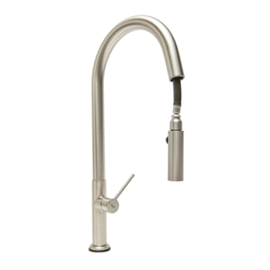 Mitigeur monocommande avec douchette extractible et bras pivotant, 2 jets, Aspect acier inox