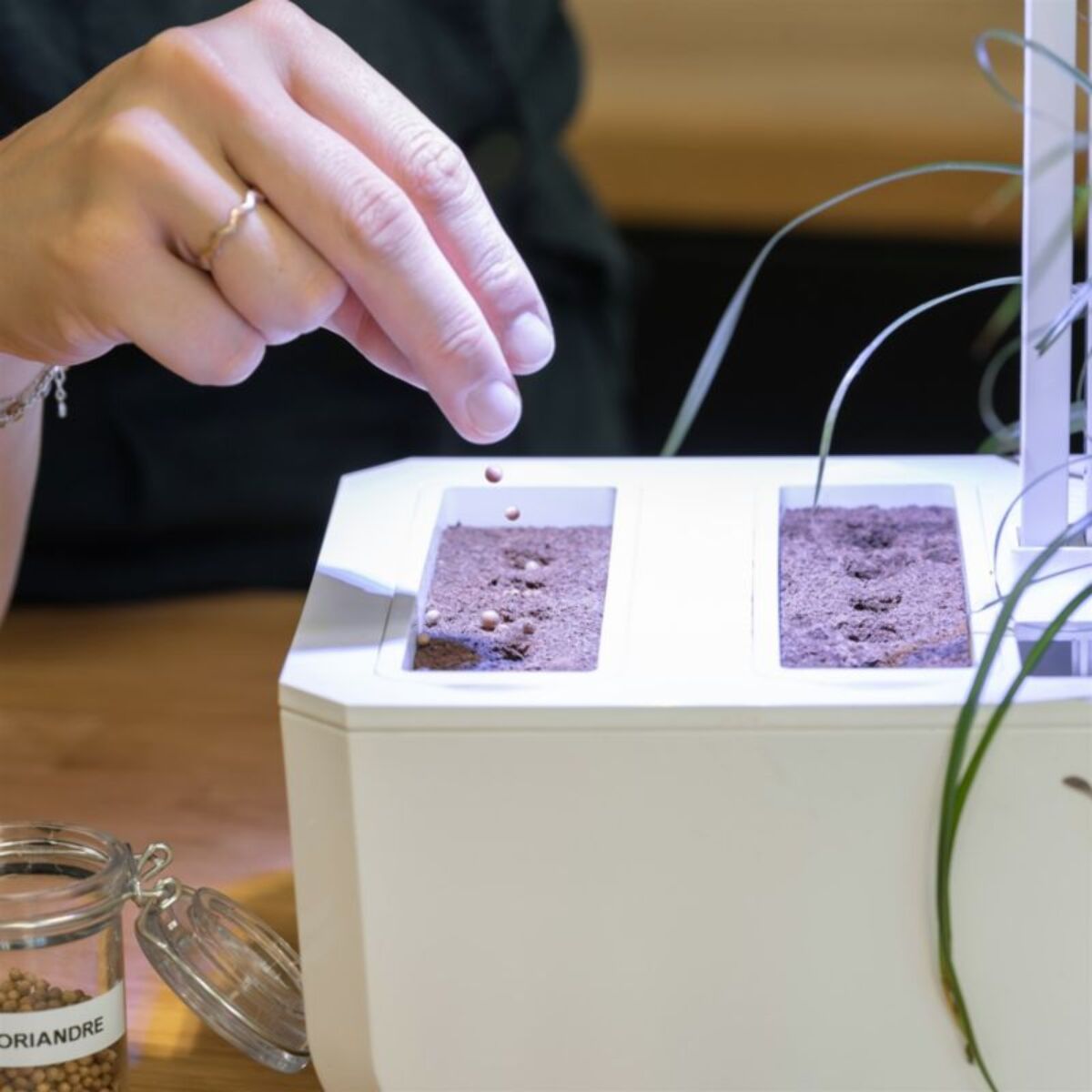 Recharge jardin d'intérieur VERITABLE Lingot Plantez vos propres graines