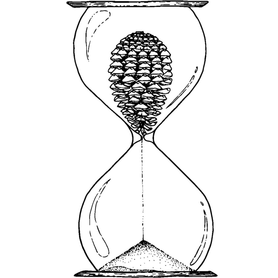 Tableau sablier landais Tableau alu Dibond