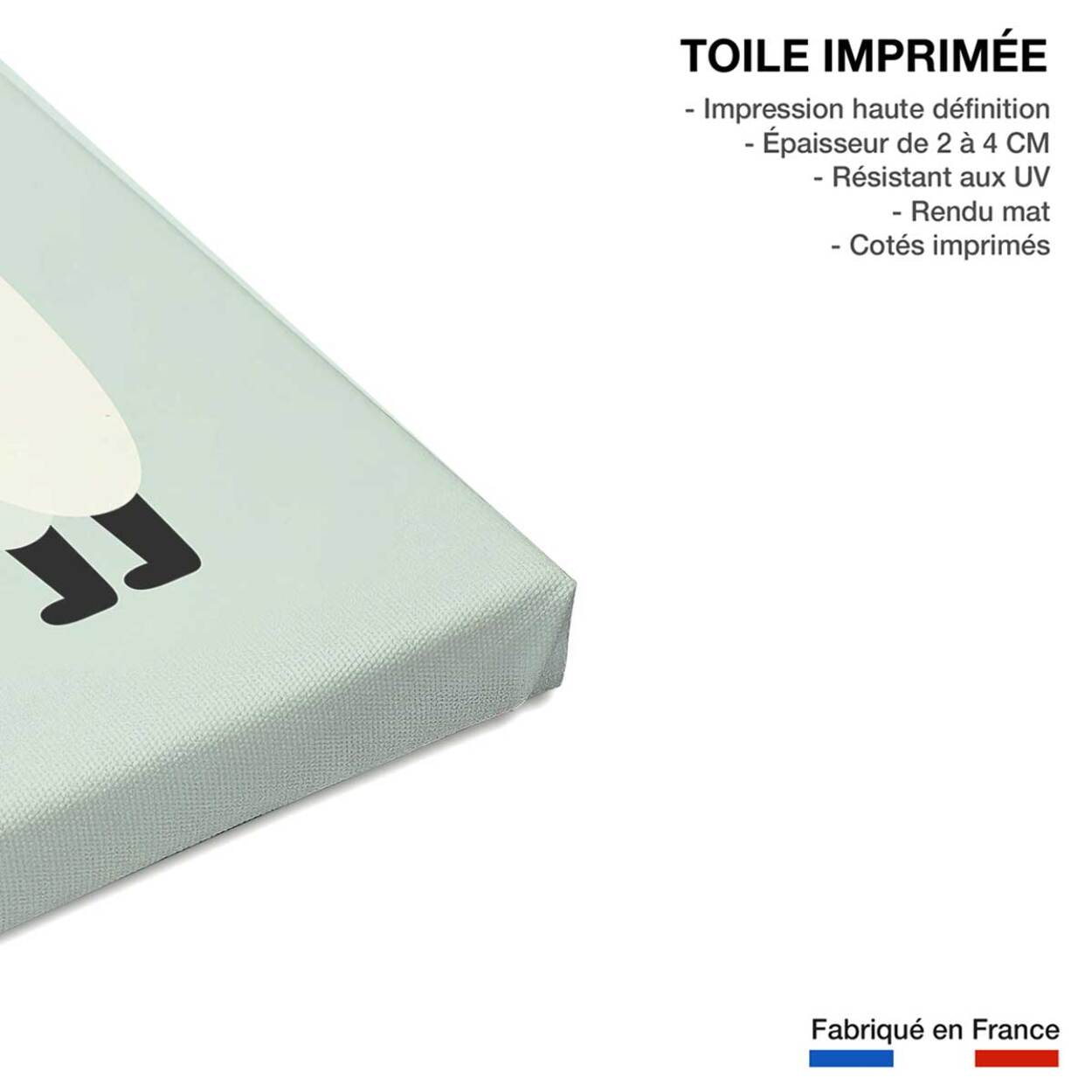 Tableau musique d'Alpaga Toile imprimée