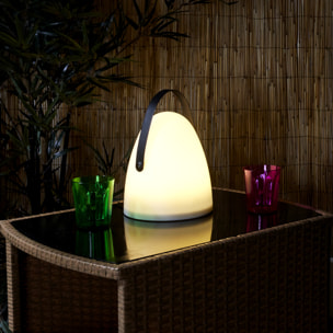 LAMPE EXTERIEUR AVEC POIGNEE