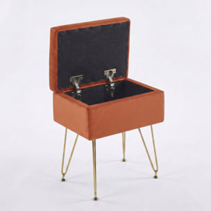 Panca Contenitore in Effetto Velluto con Seduta Imbottita e Vano Portaoggetti, Design Moderno con Gambe in Acciaio per Ingresso, Camera da Letto e Soggiorno