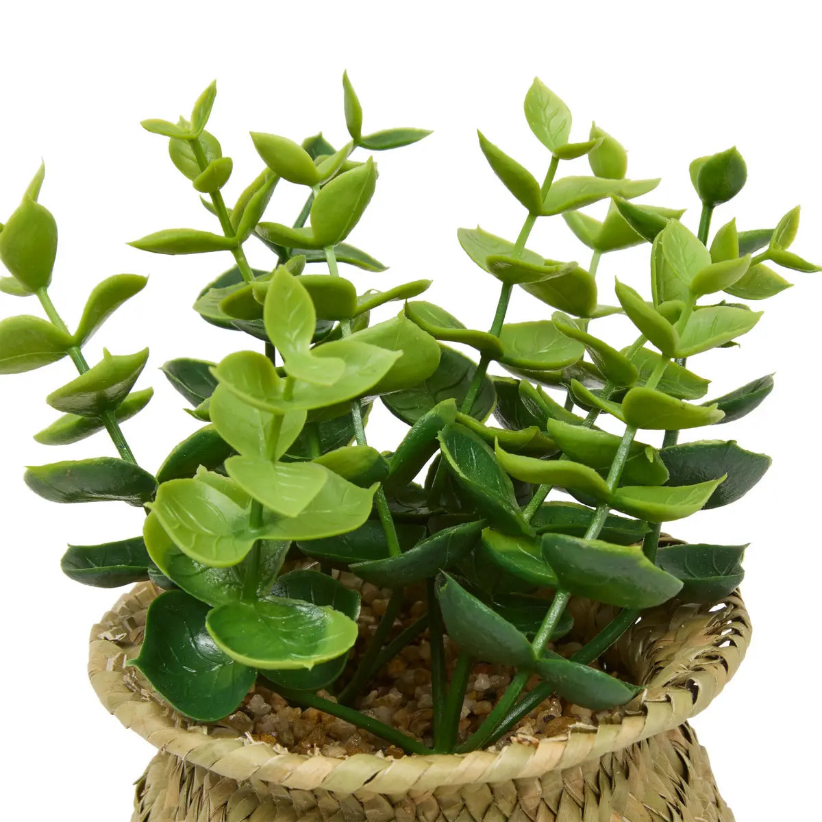 Plante artificielle en pot Jil 10x10cm