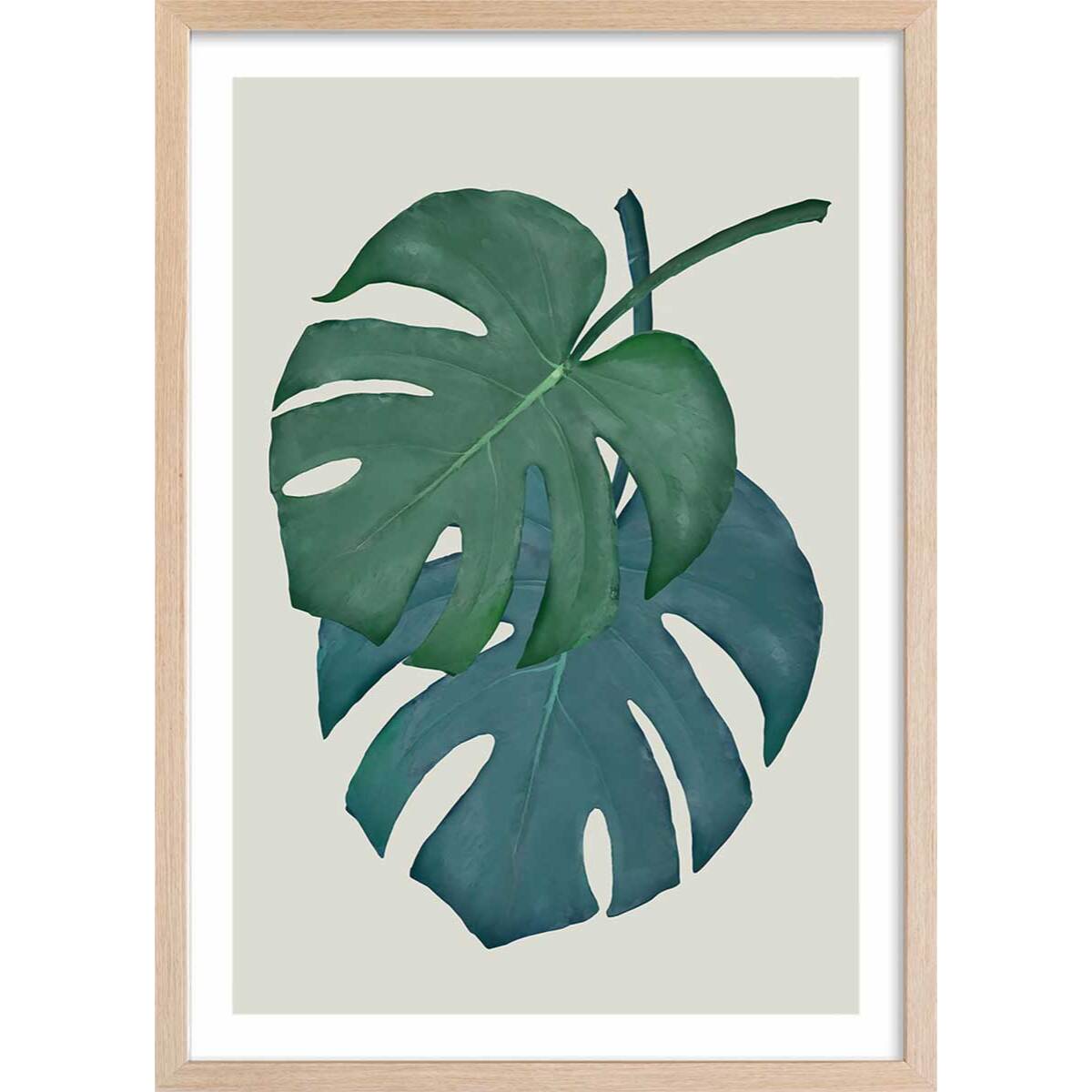 Affiche Monstera turquoise Affiche + cadre en bois - Chêne