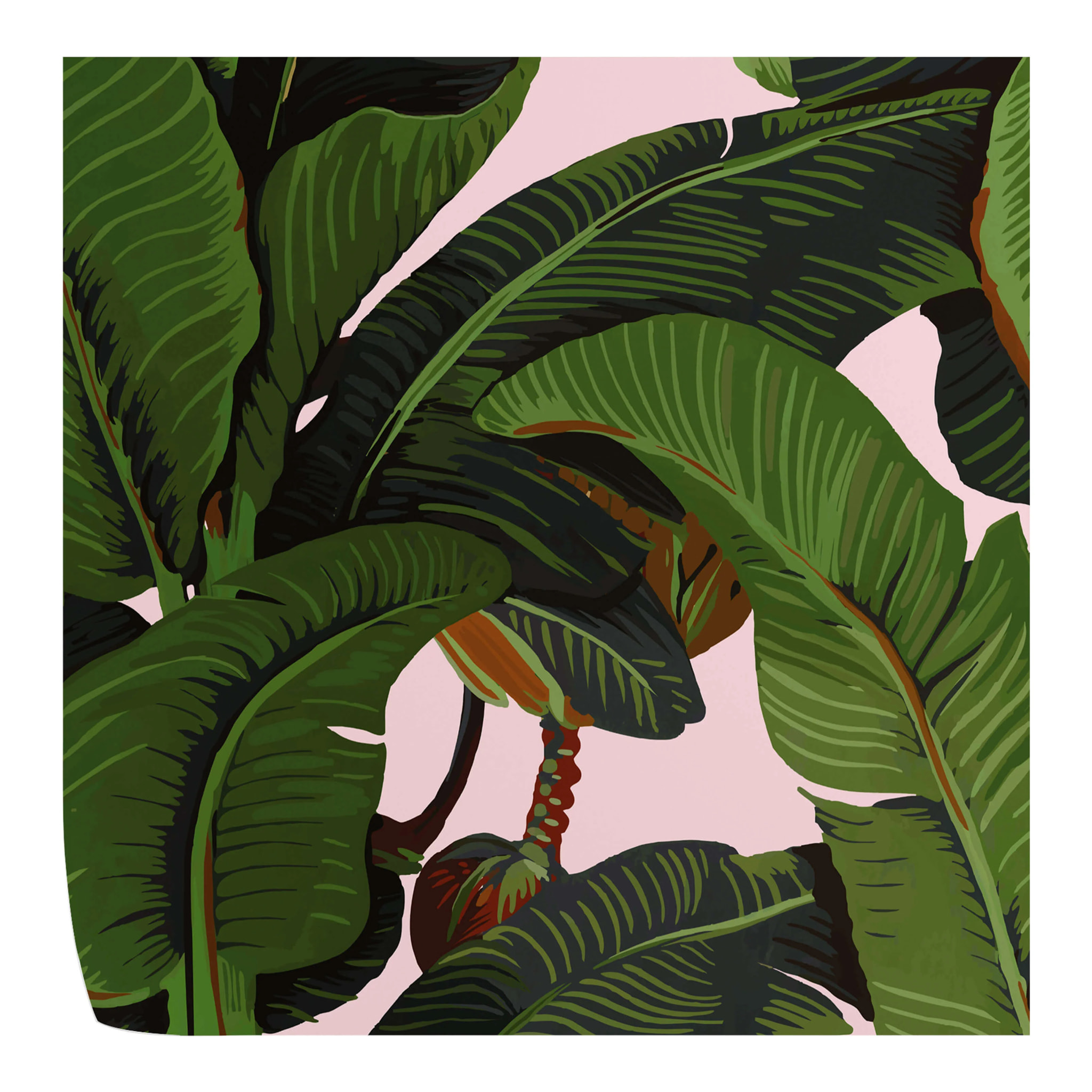 Carta da Parati Foglie di Banano Rosa