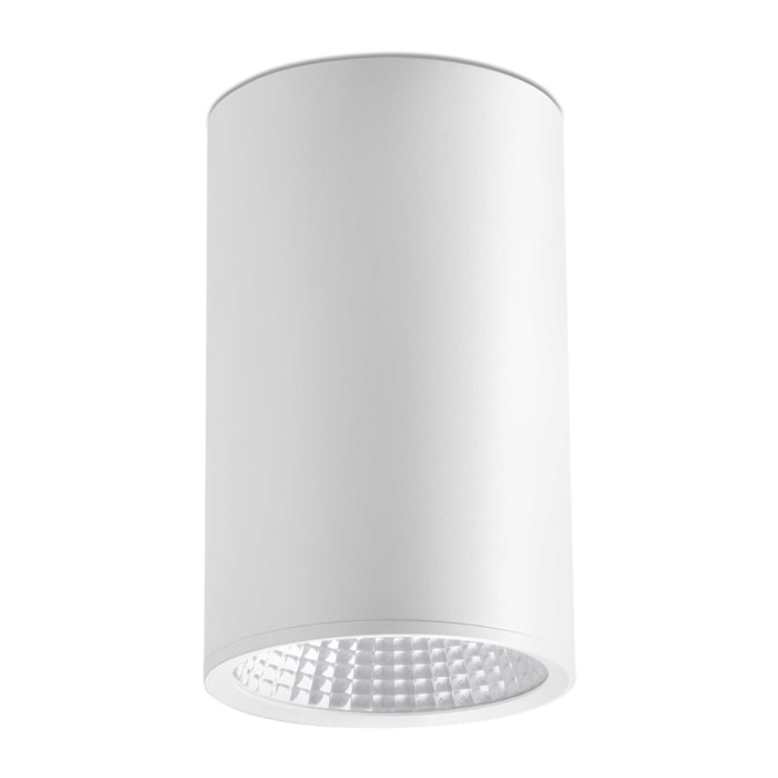 REL 100 Plafón blanco