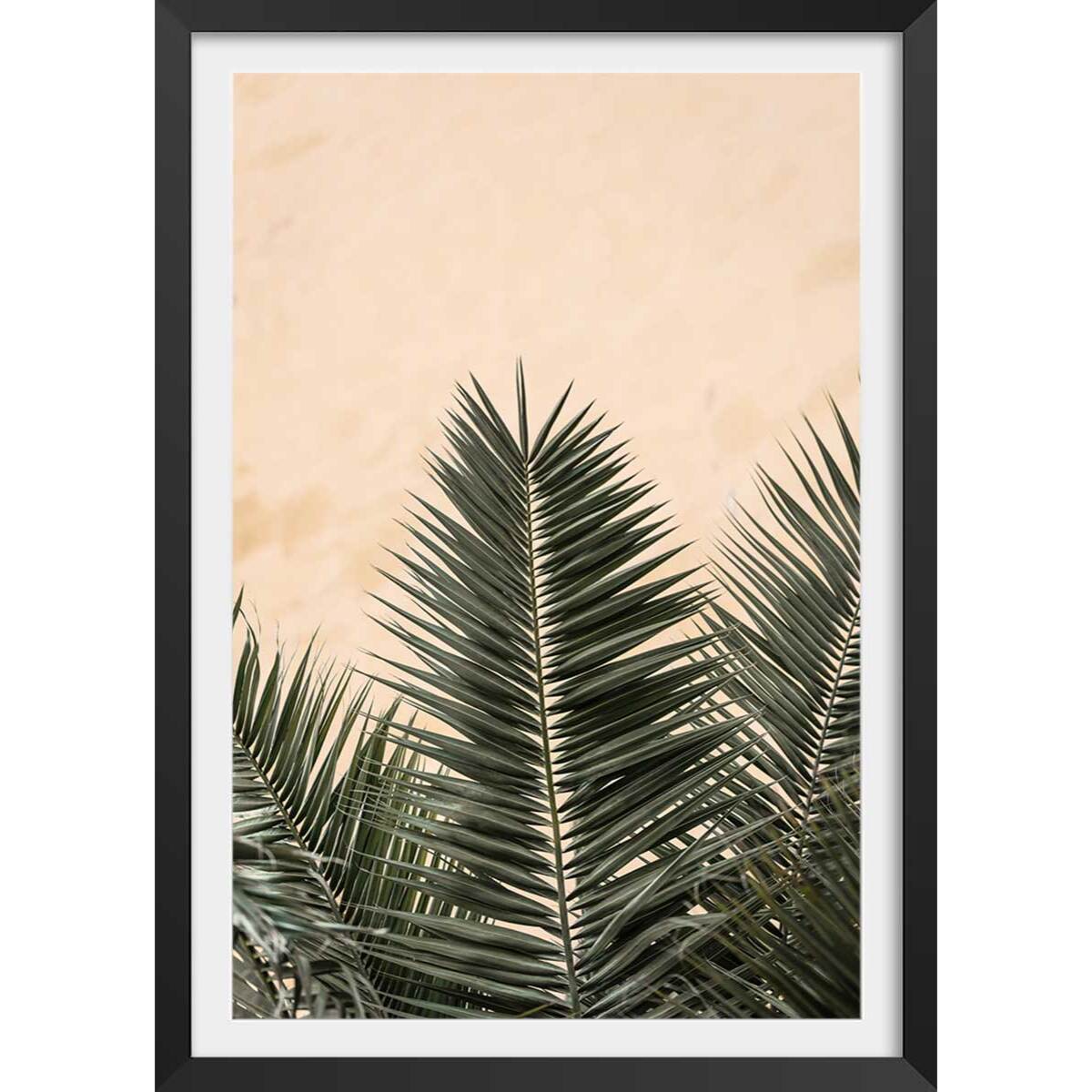 Poster sandy palme Affiche + cadre en bois - Noir