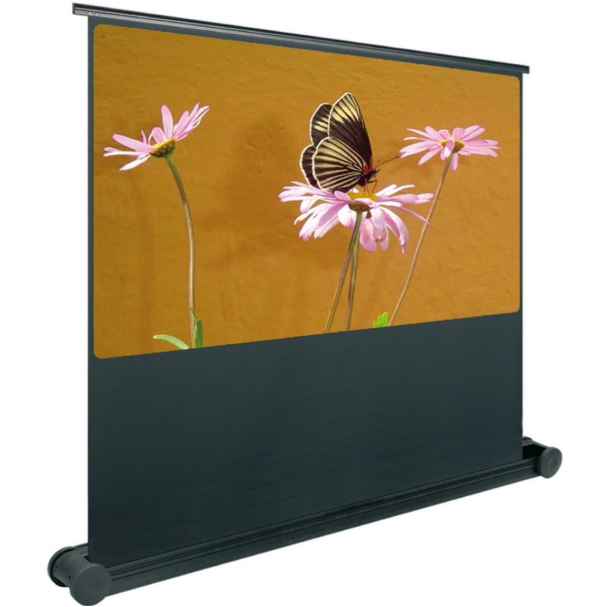 Ecran de projection ORAY Butterfly 122x200