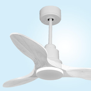 Ventilateur de plafond Réversible  Thermostat Wifi Moteur à courant continu Toits en pente Télécommande Hypersilence Mémoire Shopify Vendible (AUTOMATIQUE)