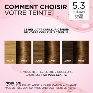 L'Oréal Paris Excellence crème Coloration 5.3 Châtain clair doré