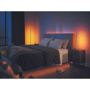 Lampe connectée PHILIPS HUE W&C Gradient Sign Chene