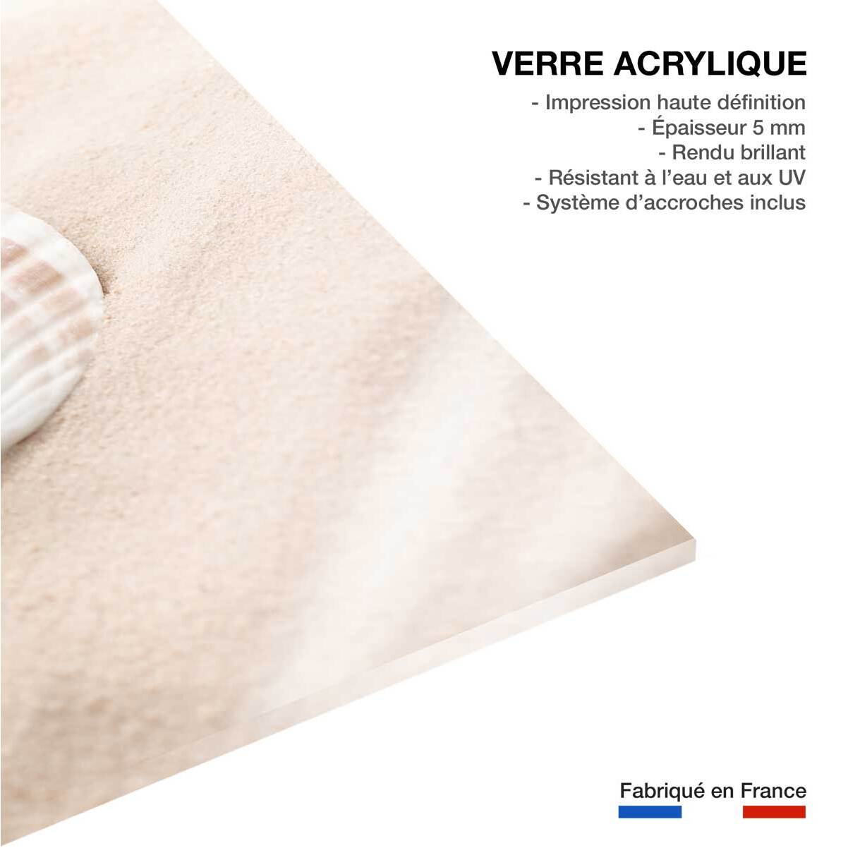 Tableau coquillage Tableau plexiglas
