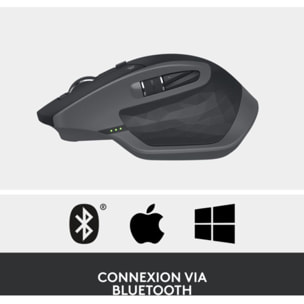 Souris sans fil LOGITECH MX Master 2S Graphite