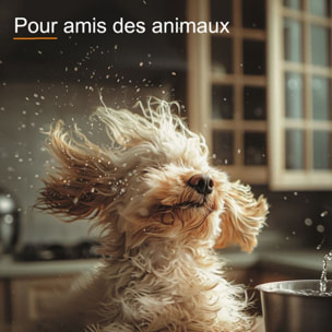 Nettoyeur de sol THOMAS Pet & Family Aqua+ (788568)