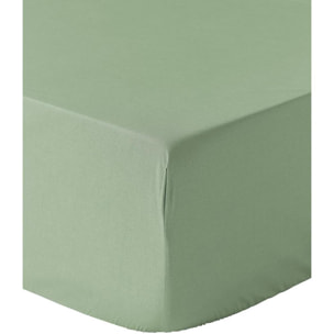 Drap Housse - 100%percale De Coton 80 Fils/cm2-bonnet 30cm-uni Sauge