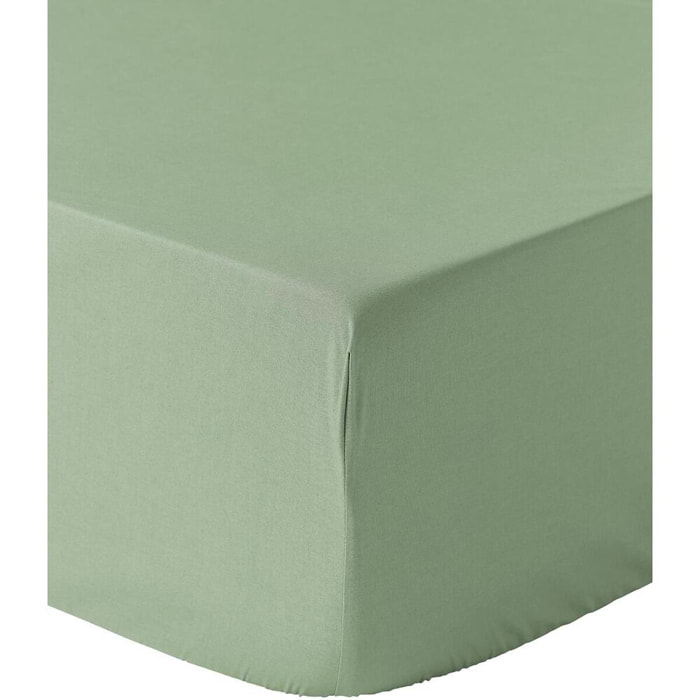 Drap Housse - 100%percale De Coton 80 Fils/cm2-bonnet 30cm-uni Sauge