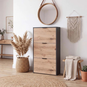 Zapatero de 3 puertas abatibles en gris grafito y alpine oak 60x113 cm Remi Gris Grafito - Alpine Oak