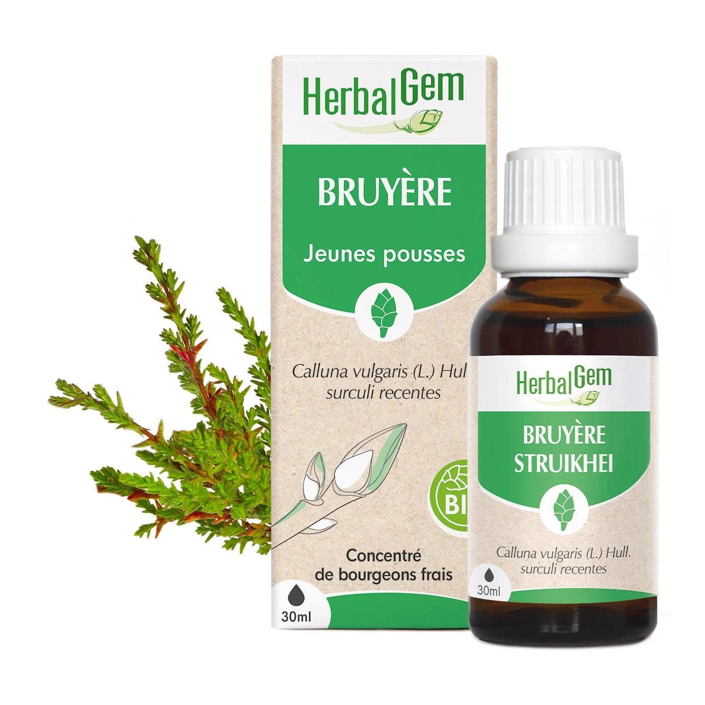 Herbalgem- Bourgeon de Bruyère - Bio - 30 ml