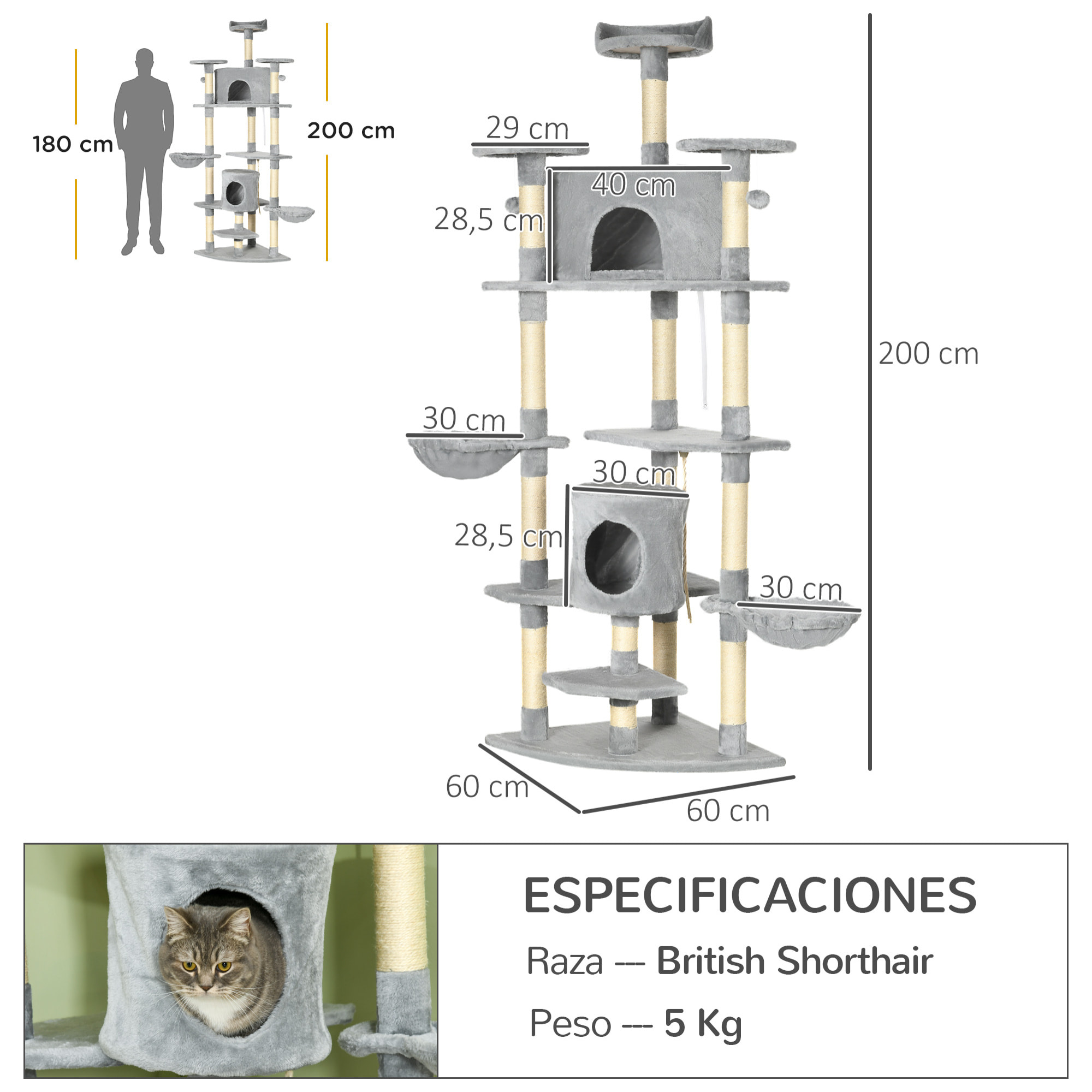 Árbol Rascador para Gatos Grande 60x60x200 cm con 2 Cuevas Múltiples Plataformas