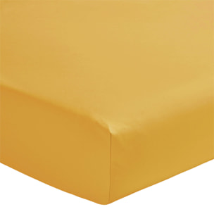 Drap housse uni en percale de coton, bonnet de 30cm, PREMIÈRE, Jaune Sahara