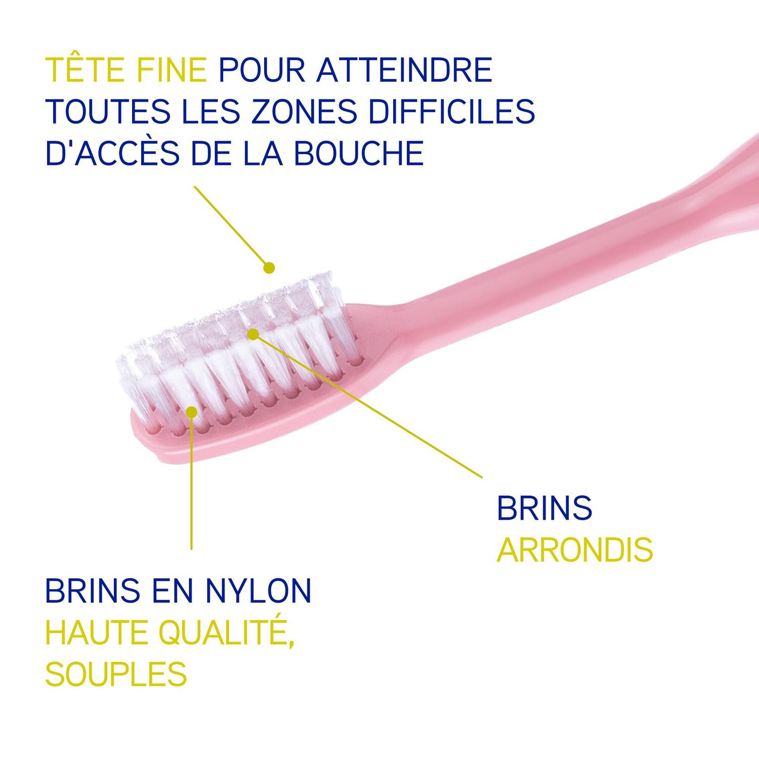 Inava 20/100 - Brosse à Dents Souple