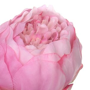 Peonia. Altezza 48 Cm - Pezzi 6 - 14,5X50X14,5cm - Colore: Rosa - Bianchi Dino - Fiori Artificiali