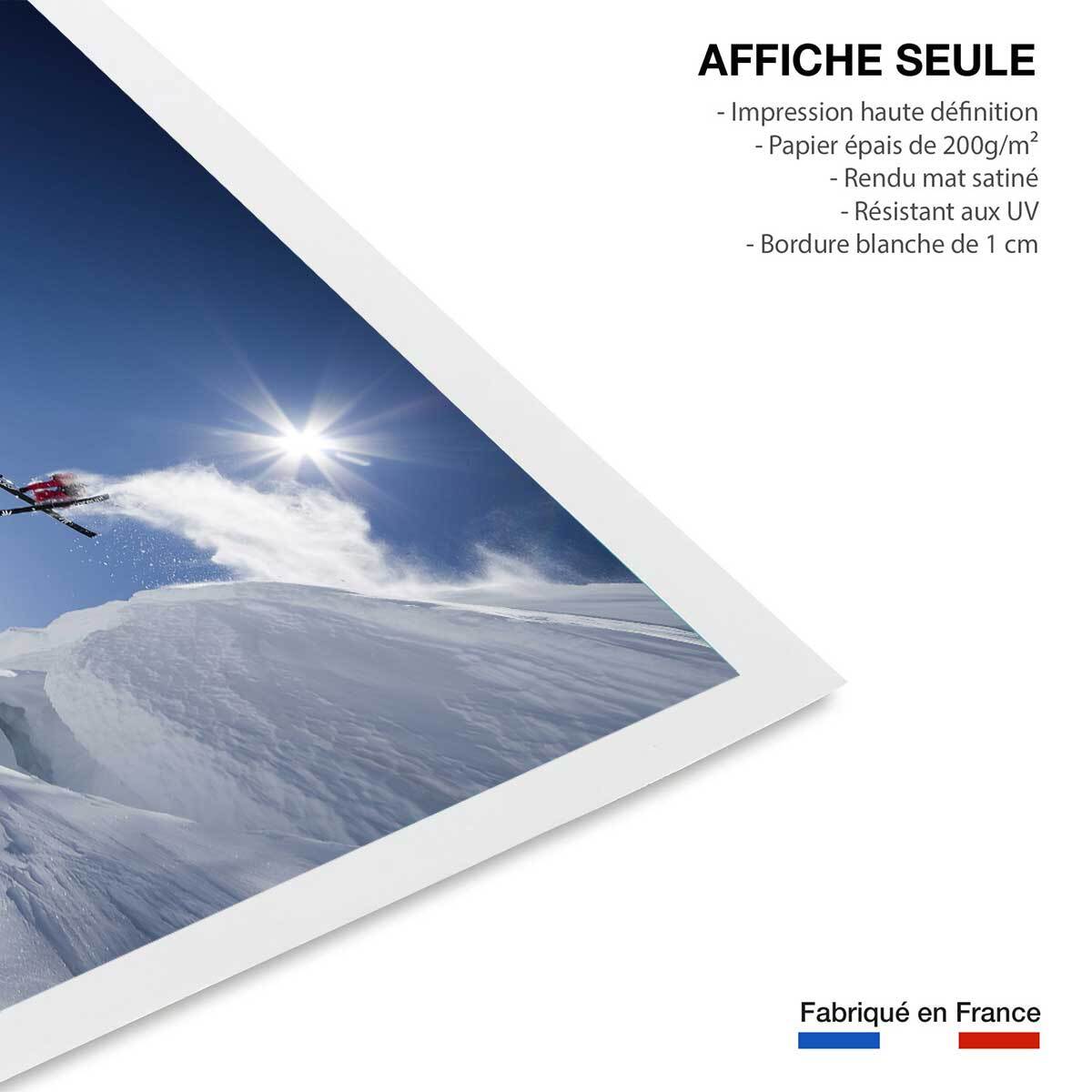 Poster mute grab ski Affiche seule