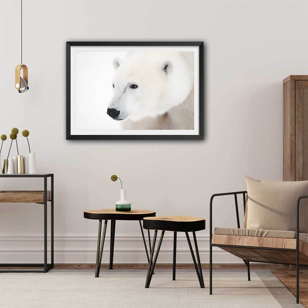 Affiche photo ours blanc polaire Affiche + cadre en bois - Noir