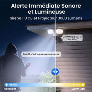 Caméra de surveillance REOLINK floodlight F850W