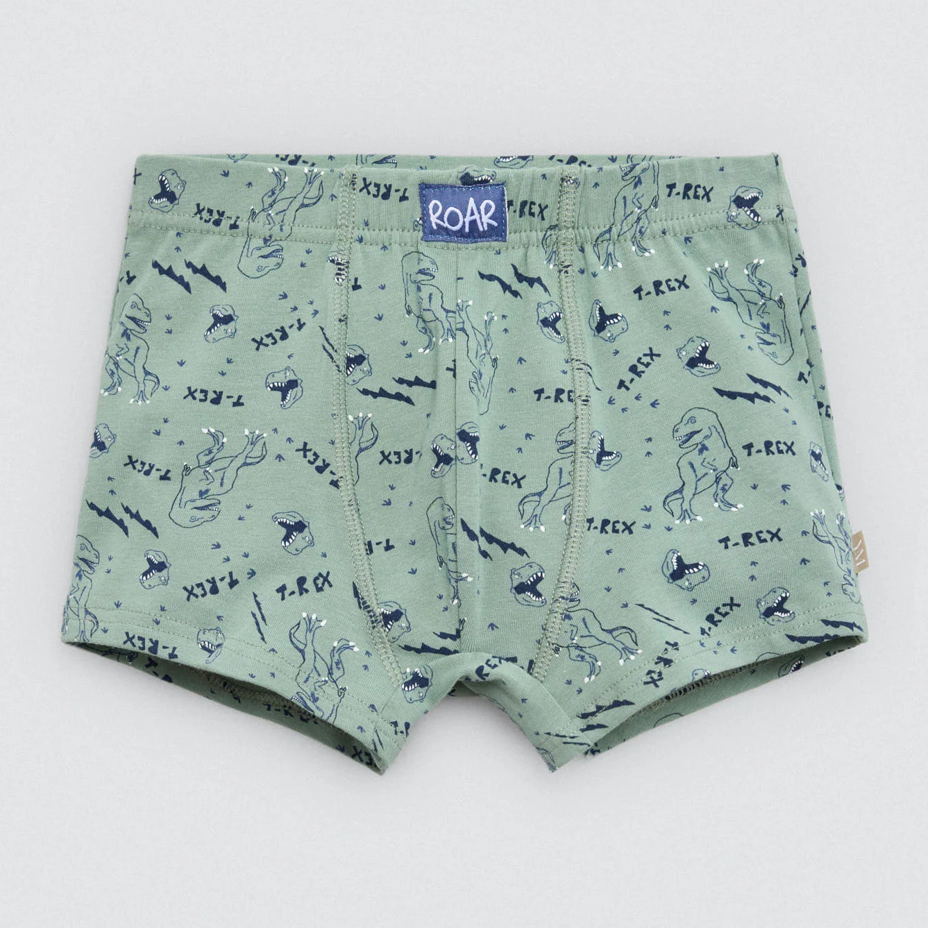 Confezione da 2 boxer in cotone per bambini con stampa di dinosauri